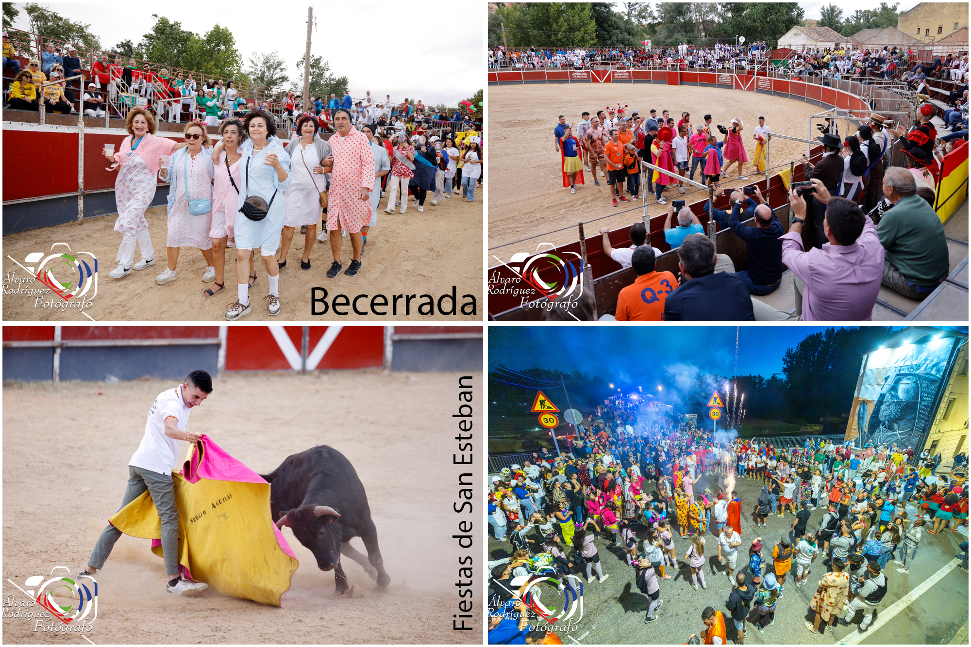dia de toros Fiestas de San Esteban 2025 Galería de Fotos