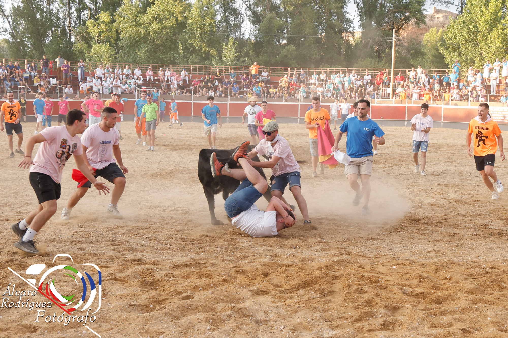 Rejones Fiestas de San Esteban 2025 Galería de Fotos