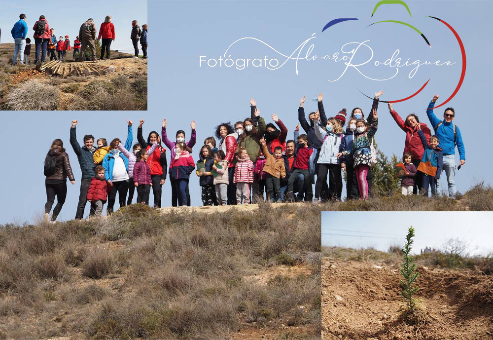 Seguimiento de la actividad realizada en El Burgo de Osma, de repoblación de foresta de encinas en el Alto Soria.