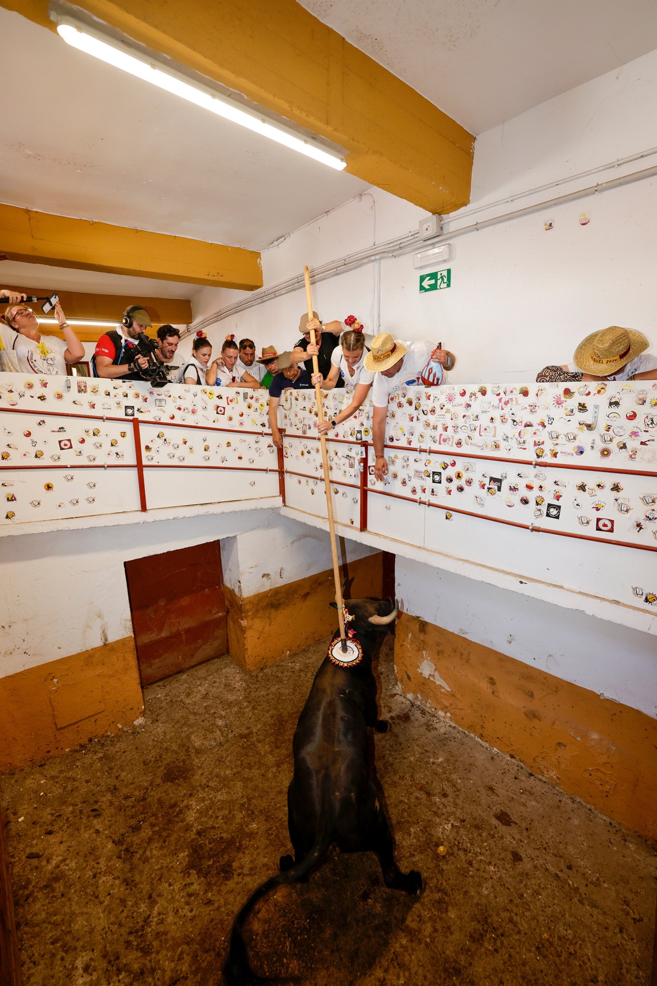 Viernes de Toros Mañana